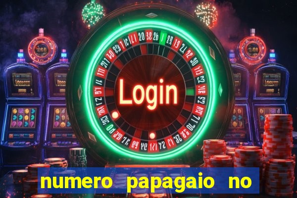 numero papagaio no jogo do bicho